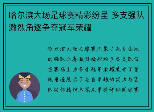 哈尔滨大场足球赛精彩纷呈 多支强队激烈角逐争夺冠军荣耀